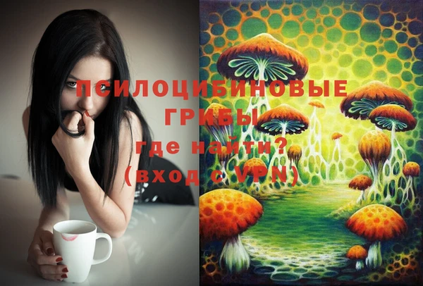 шишки Гусь-Хрустальный