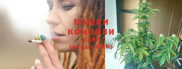 шишки Гусь-Хрустальный