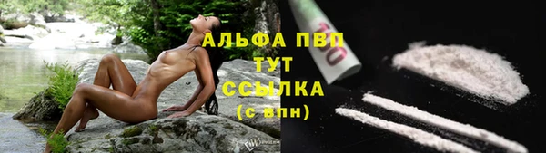 твердый Гусиноозёрск