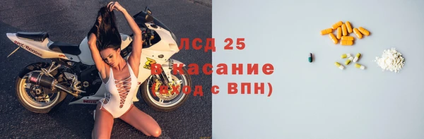 шишки Гусь-Хрустальный
