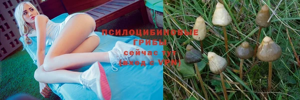 соль ск Гусев