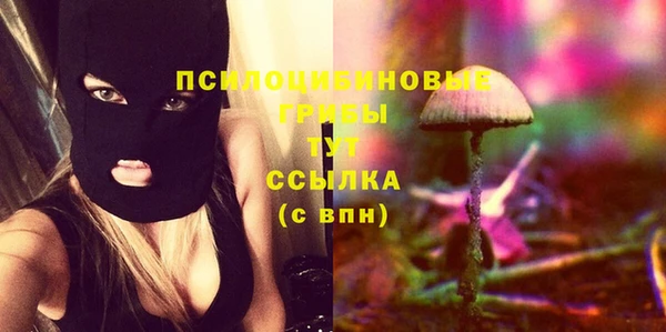 шишки Гусь-Хрустальный