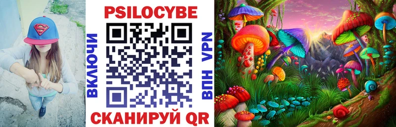 Псилоцибиновые грибы Cubensis Грайворон