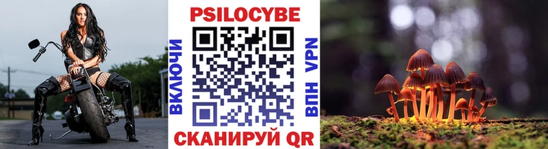Псилоцибиновые грибы Psilocybe  где купить наркоту  Грайворон 